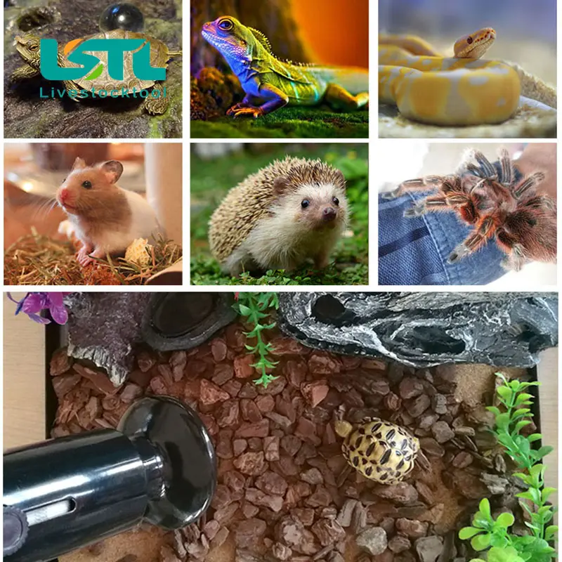 2 Pcs Pet Reptile Heating Bulb Infrared Ceramic Emitter Heat Lamps Pet Brooder Reptile Lamp 220V-240V
