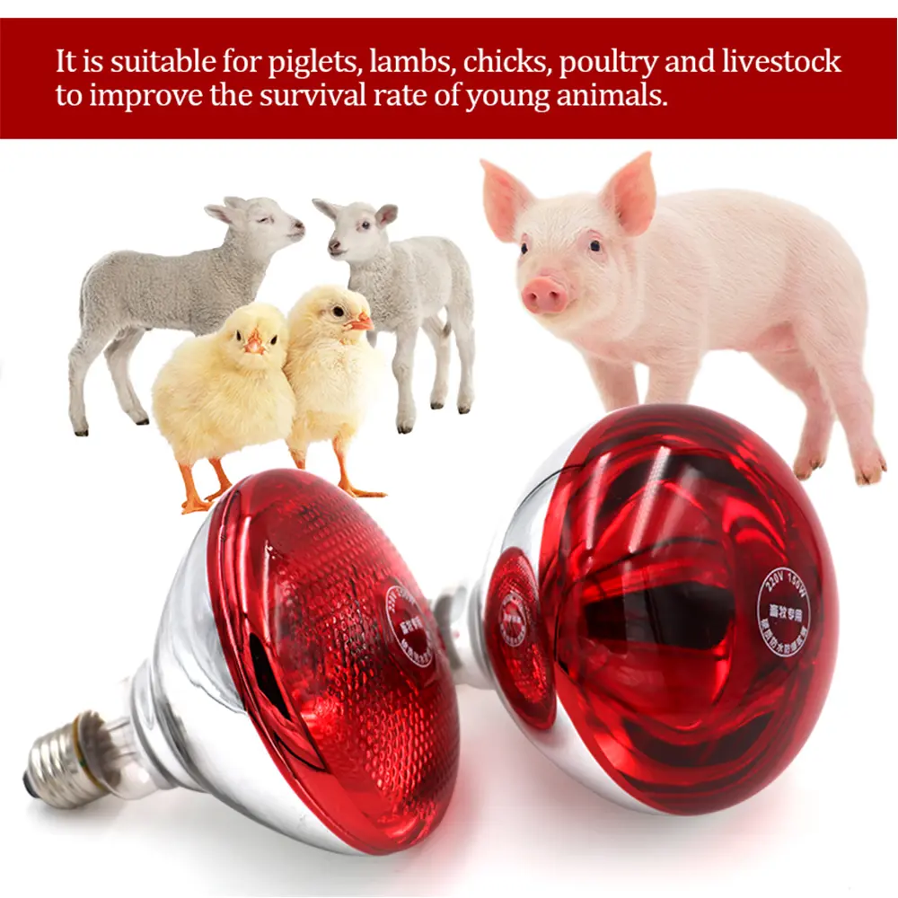 New Pet Reptile Heating Lamp Set Illumination E27 Heating Lamp Bracket Pet Light Bulb Bracket Lampshade Emission Lamps 220-240V