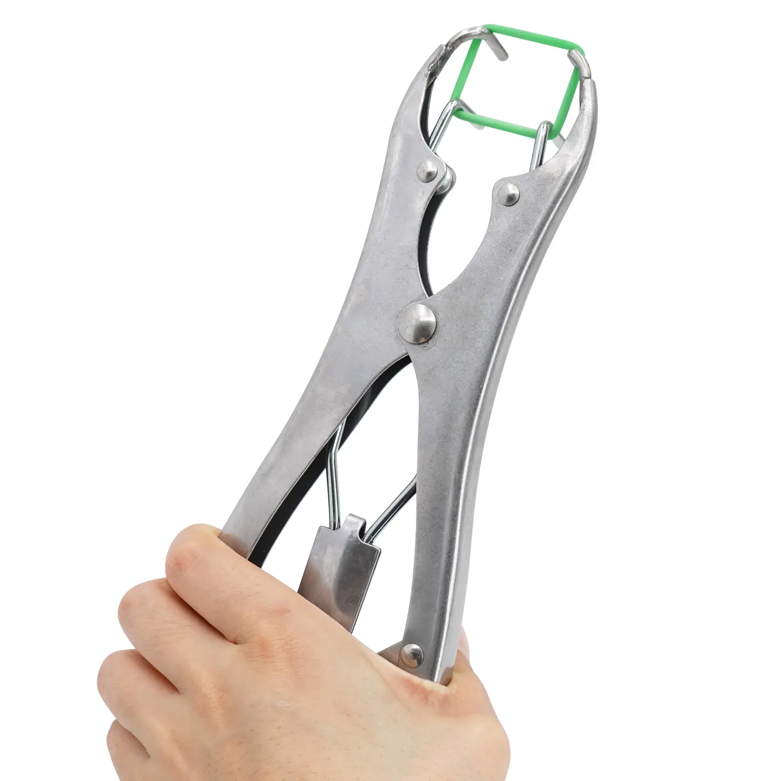Stainless Steel Sheep Broken Tail Castration Forceps Expansion Clamp Elasticity Rubber Castration Rings Farm Animal Bloodless