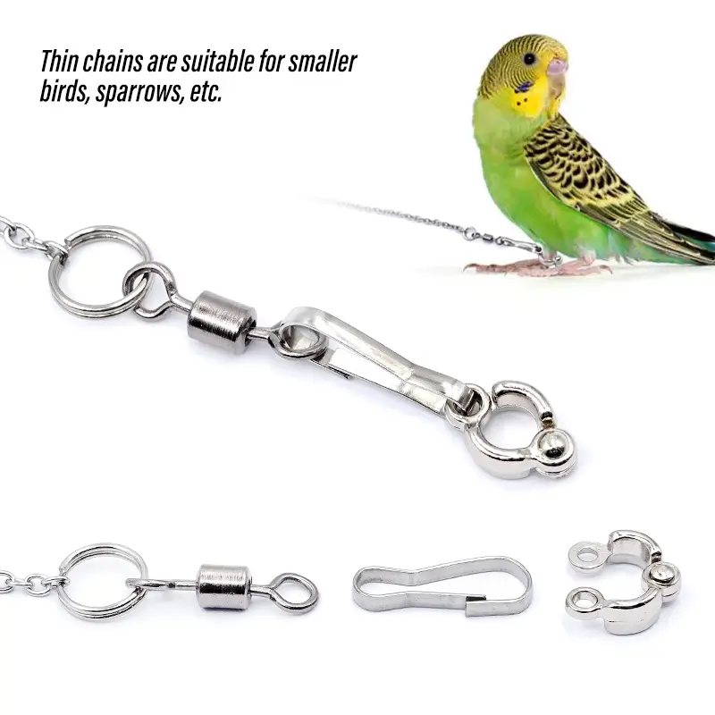 50cm Stainless Steel Bird Foot Chain Parrot Anti-Flying Bird Foot Ring Stand Chain Anti Bite Wire Rope Outdoor Flying Training