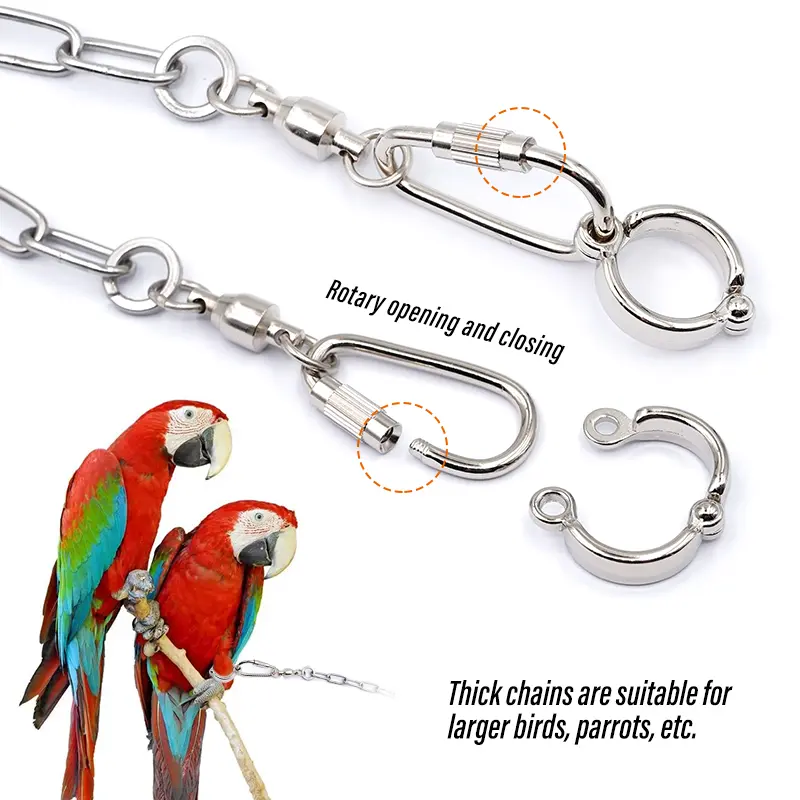 50cm Stainless Steel Bird Foot Chain Parrot Anti-Flying Bird Foot Ring Stand Chain Anti Bite Wire Rope Outdoor Flying Training