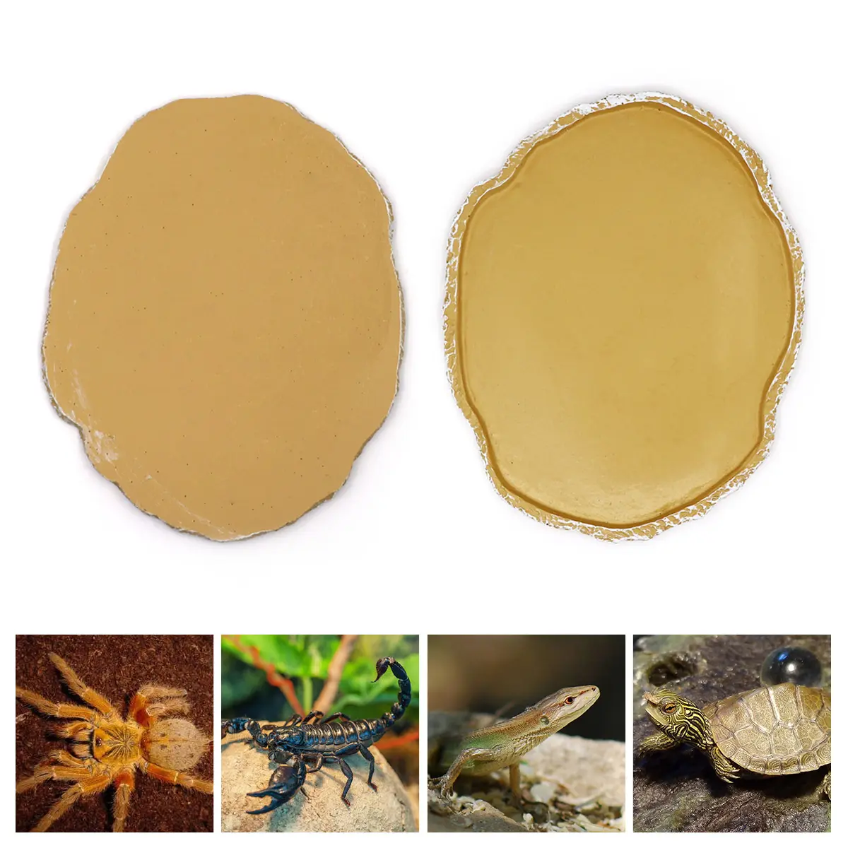 Pets Feeding Plate Reptile Feeding Bowl Vivarium Food Water Dish Resin Bowl for Turtle Gecko Snake Pet Breeding Tray 2#