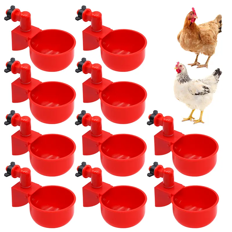 324