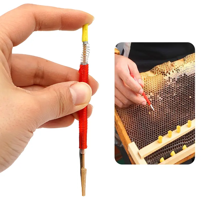 5/10Pcs Beekeeping Grafting Tool Bee Queen Larva Apiculture Retractable Grafting Equipment Pszczelarstwo Tools Move Worms Needle