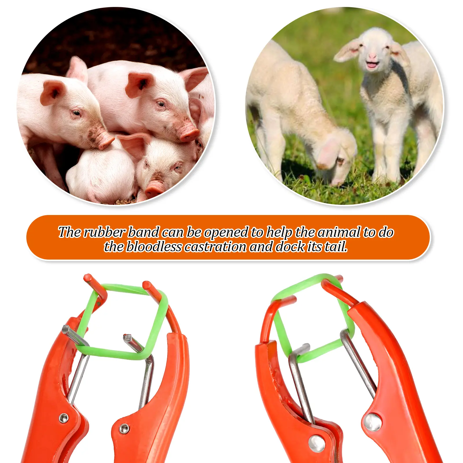 Livestock Pig Goat Castration Forceps Expansion Clamp Elasticity Rubber Castration Rings Farm Animal Bloodless Broken Tail Plier