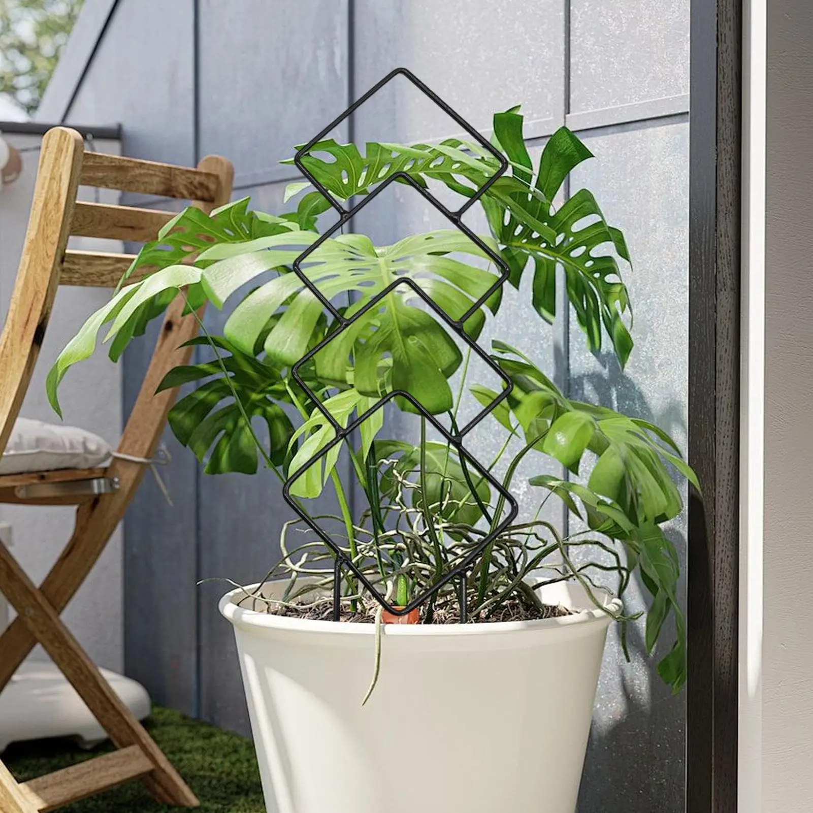 Trellis For Potted Plants Climbing Houseplant Support Trellis Metal Houseplants Growing Obelisk Structures For Vine Flowers