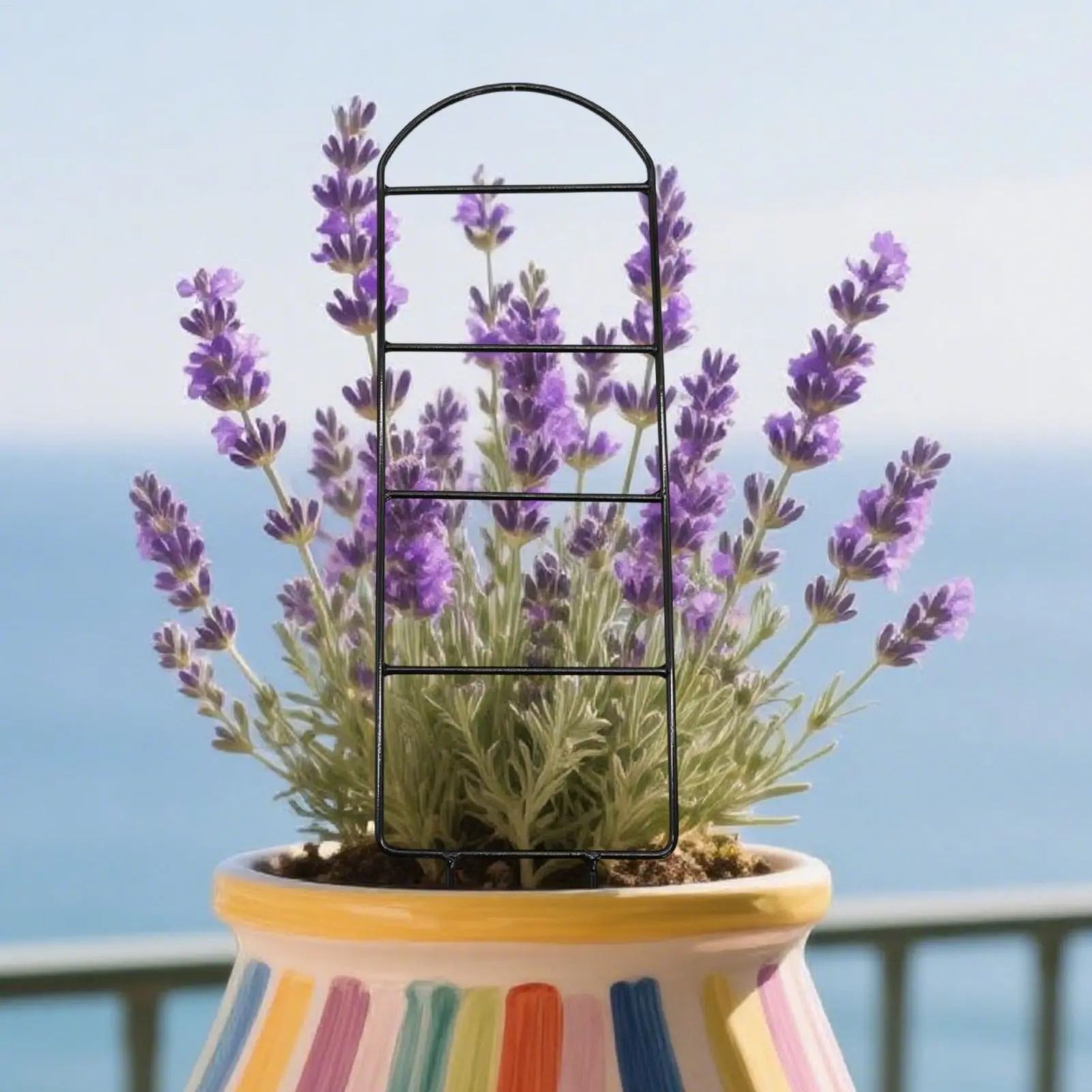 Trellis For Potted Plants Climbing Houseplant Support Trellis Metal Houseplants Growing Obelisk Structures For Vine Flowers