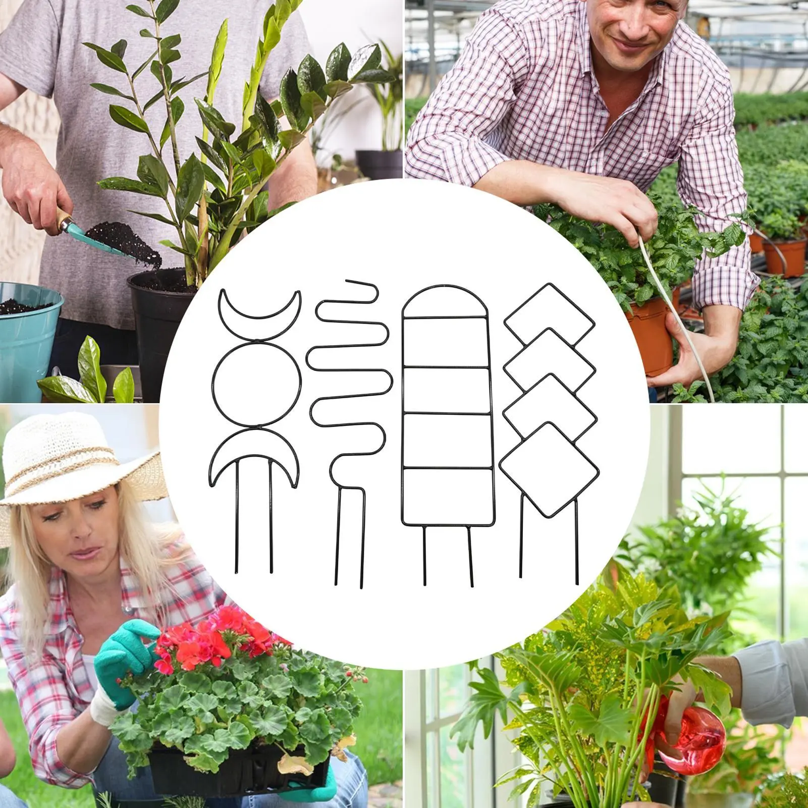 Trellis For Potted Plants Climbing Houseplant Support Trellis Metal Houseplants Growing Obelisk Structures For Vine Flowers