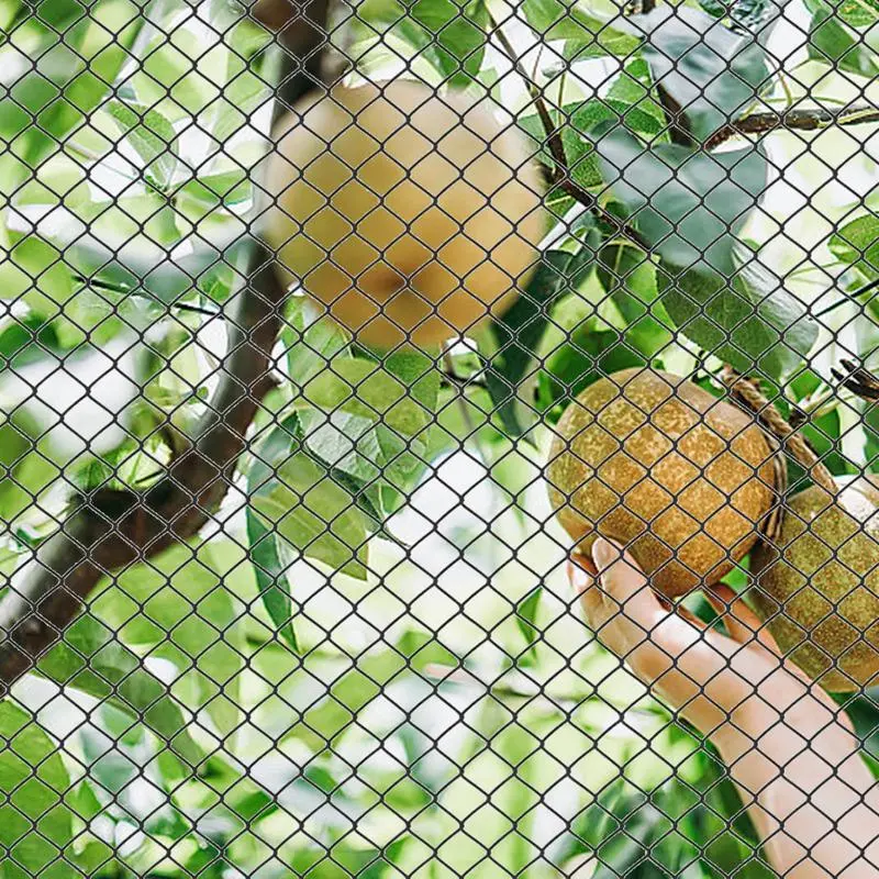 Bird Netting for Fruit Trees Reusable Mesh Plant Cover Garden Netting Barrier Lightweight Plants Cover Protection Plant Mesh