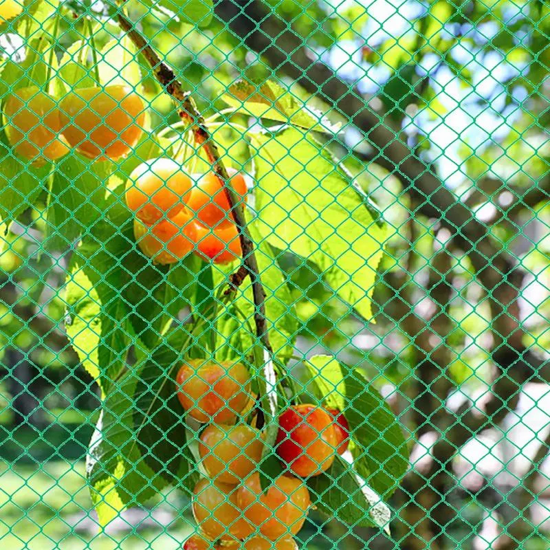 Bird Netting for Fruit Trees Reusable Mesh Plant Cover Garden Netting Barrier Lightweight Plants Cover Protection Plant Mesh