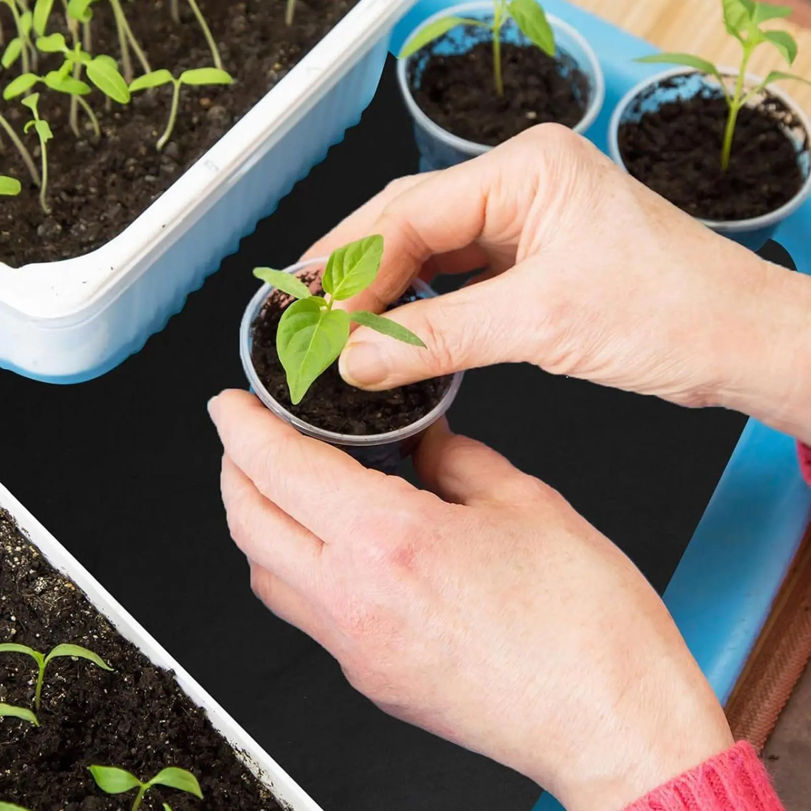 Capillary Matting For Plants Automatic Watering System For Potted Plants Automatic Drip Irrigation Kits Hydroponics Garden