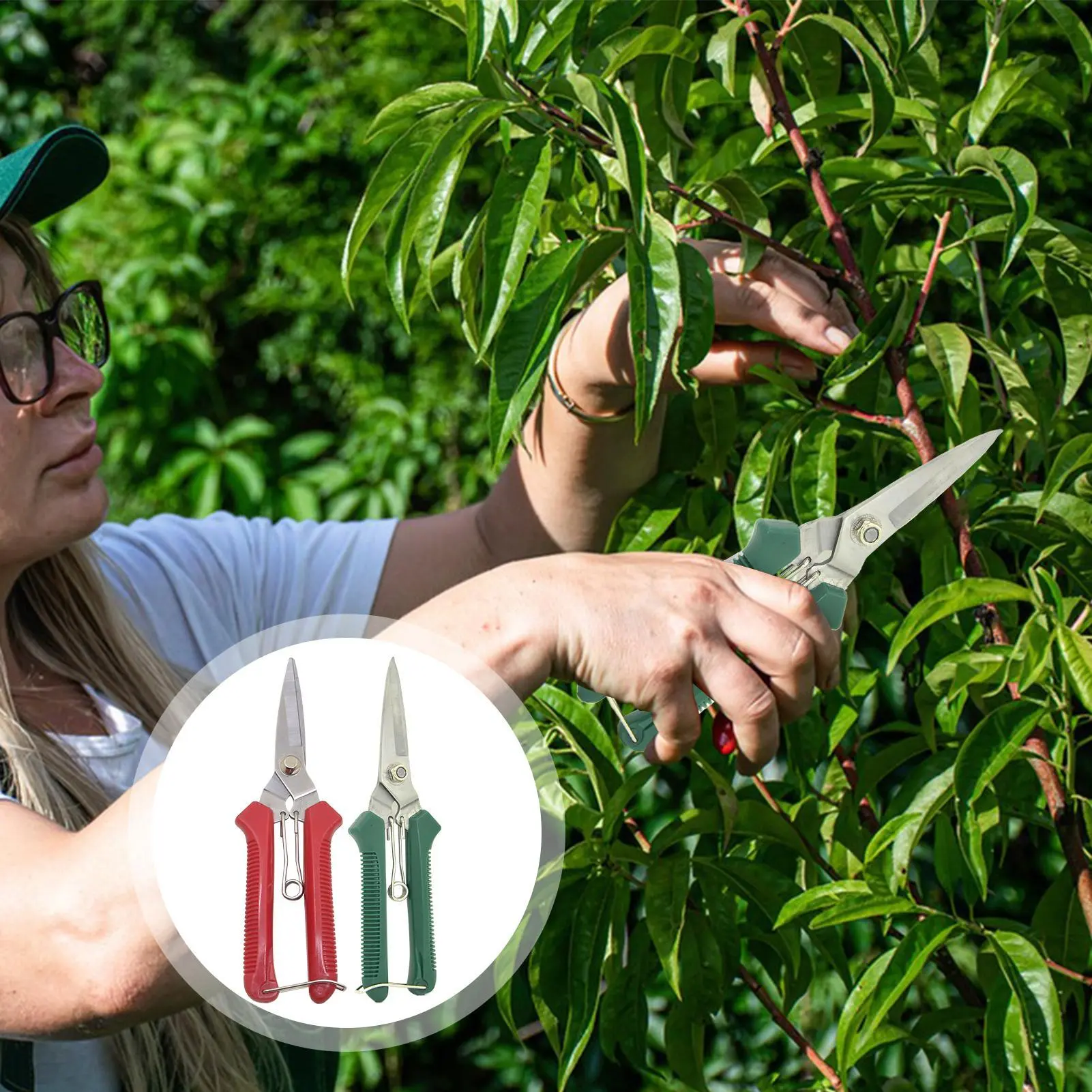 Garden Scissors Heavy-Duty Trimming Scissors Garden Branch Pruning Gardening Flower Fruit Tree Manually Scissor Gardening Pruner