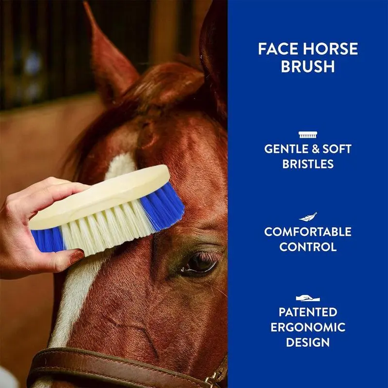 Horse Brush Horse Scrubber Shedding Comb Ergonomic Pet Cleaning Tool with Hard Bristles for Bovine Livestock