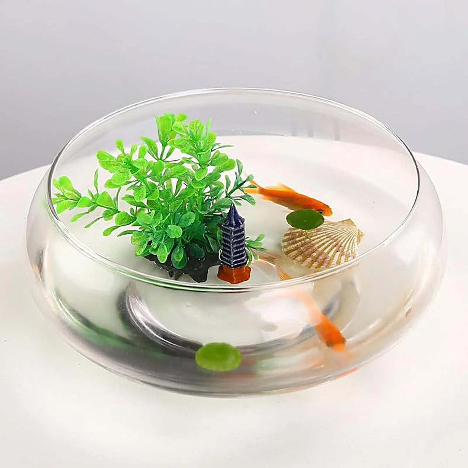Fish Glass Bowl Glass Large Hydroponics Flower Pot Shallow Round Wide Plants Bowl Small Aquariums Transparent Goldfishes Bowl
