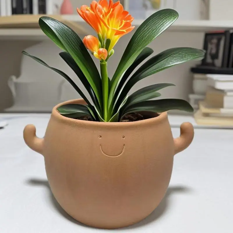 Smiling Face Flower Pot Plants Succulent Pot Face Planter Pot Smiling Face Planter Garden Plant Container For Indoor Outdoor