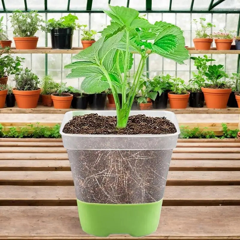 12pcs Clear Nursery Pots Transparent Plastic Planter Seed Starting Pot Flower Plant Contaianter Nursery Starting Tray With Hole