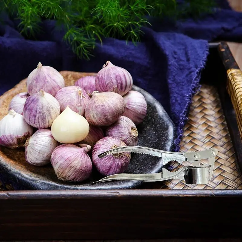 Garlic Crusher Walnut Crusher Tool Multifunctional Kitchen Accessories Easy To Clean Garlic Smasher For Home Use Picnic And