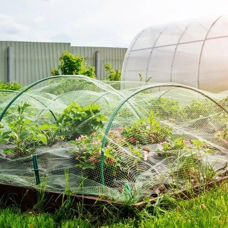 Garden Mesh Netting Garden Netting Bird Barrier Breathable Animals Barrier Outdoor Protector For Vineyard Yard Orchard Raised
