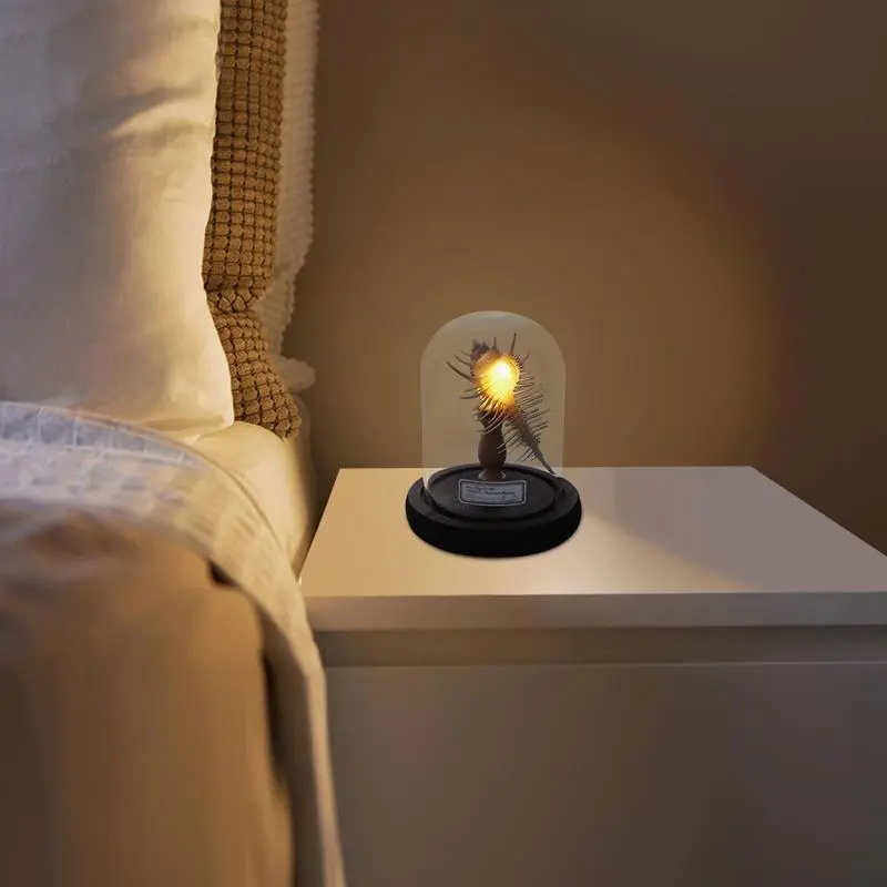 Coastal Nightlight Sea Urchin Shell Lamp Sea Urchin Lamp Decorative Bedroom Table Light For Nautical Home Decor