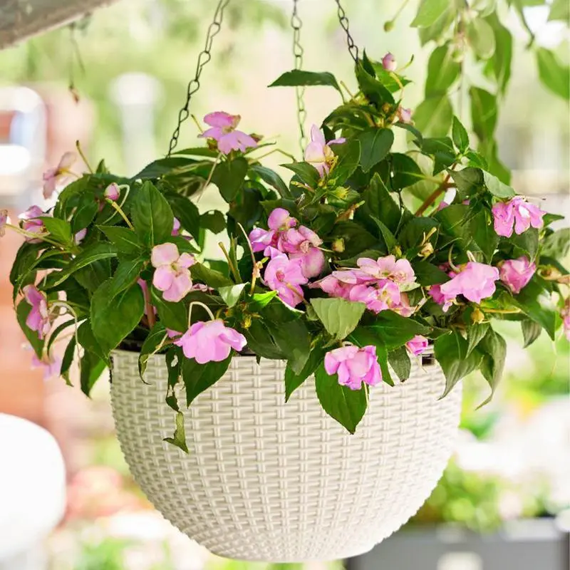 Wall Plant Holders Wall Planter Vertical Handcrafted Mounted Pot Vase Hanging Basket Round Planter Pot For Garden Balcony