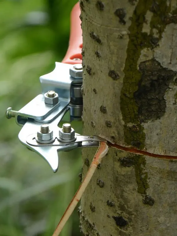 Fruit Tree Ring Cutter Tree Ring Peeler Adjustable Tree Pruning Shears Bark Girdling Cutter Peeling Shear Trimming Tool