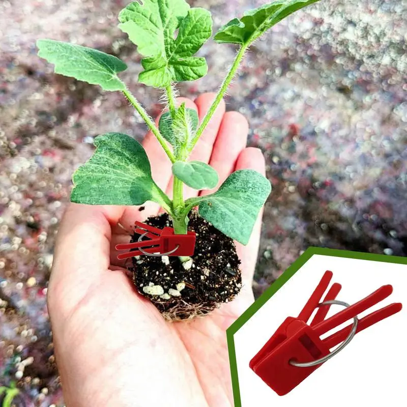 500pcs Plant Clips Plant Support Clip Flower Connector Trellis Clip Vine Fixing Clip Plants Vine Climbing Fixed Plastic Clips