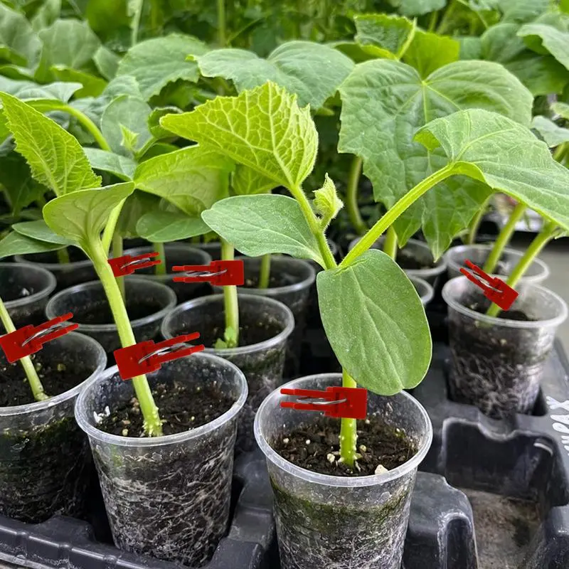 500pcs Plant Clips Plant Support Clip Flower Connector Trellis Clip Vine Fixing Clip Plants Vine Climbing Fixed Plastic Clips