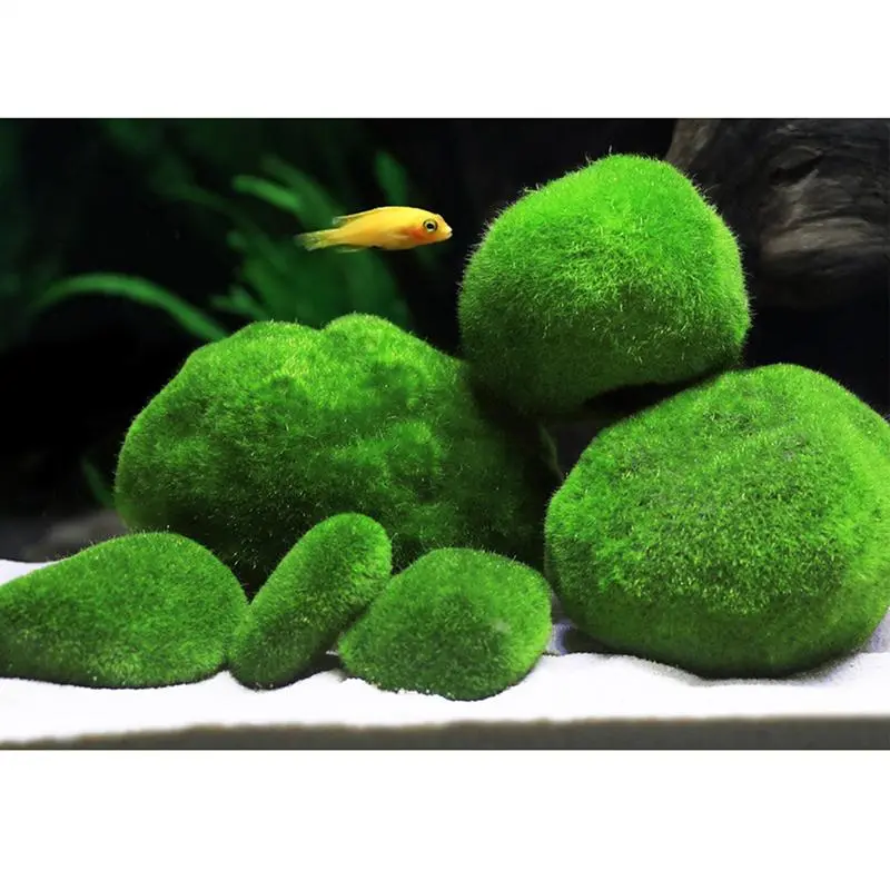 moss balls Realistic Terrarium Moss Miniature Aquarium Plant Algae Fish Shrimp Tank Ornament Simulation Green Algae Balls