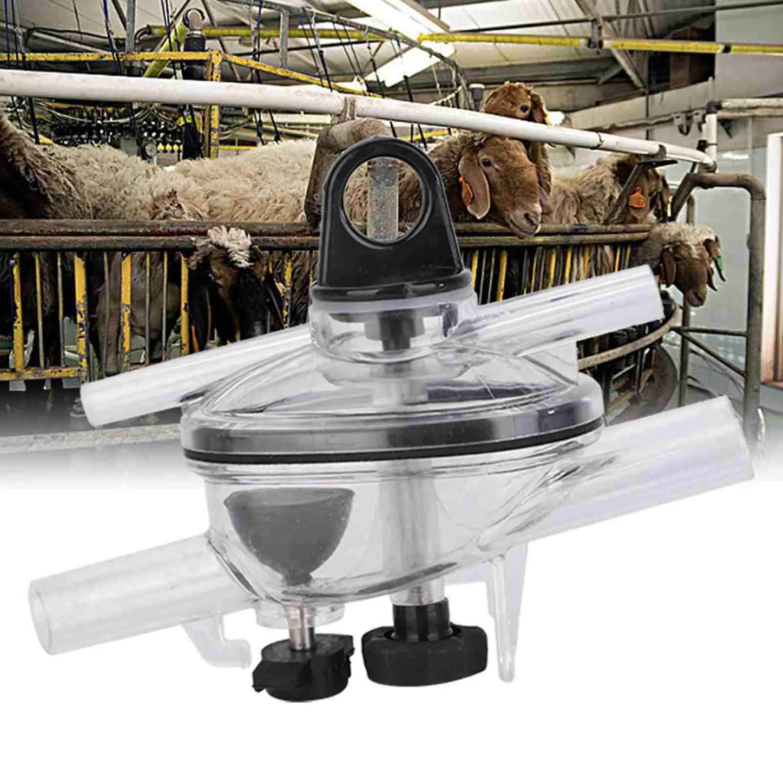 Goat Milking Machine Part Sheep Milking Collector 50ml Goat Sheep Milking Claw Milk Collector Cup Goat Milking Machine Part