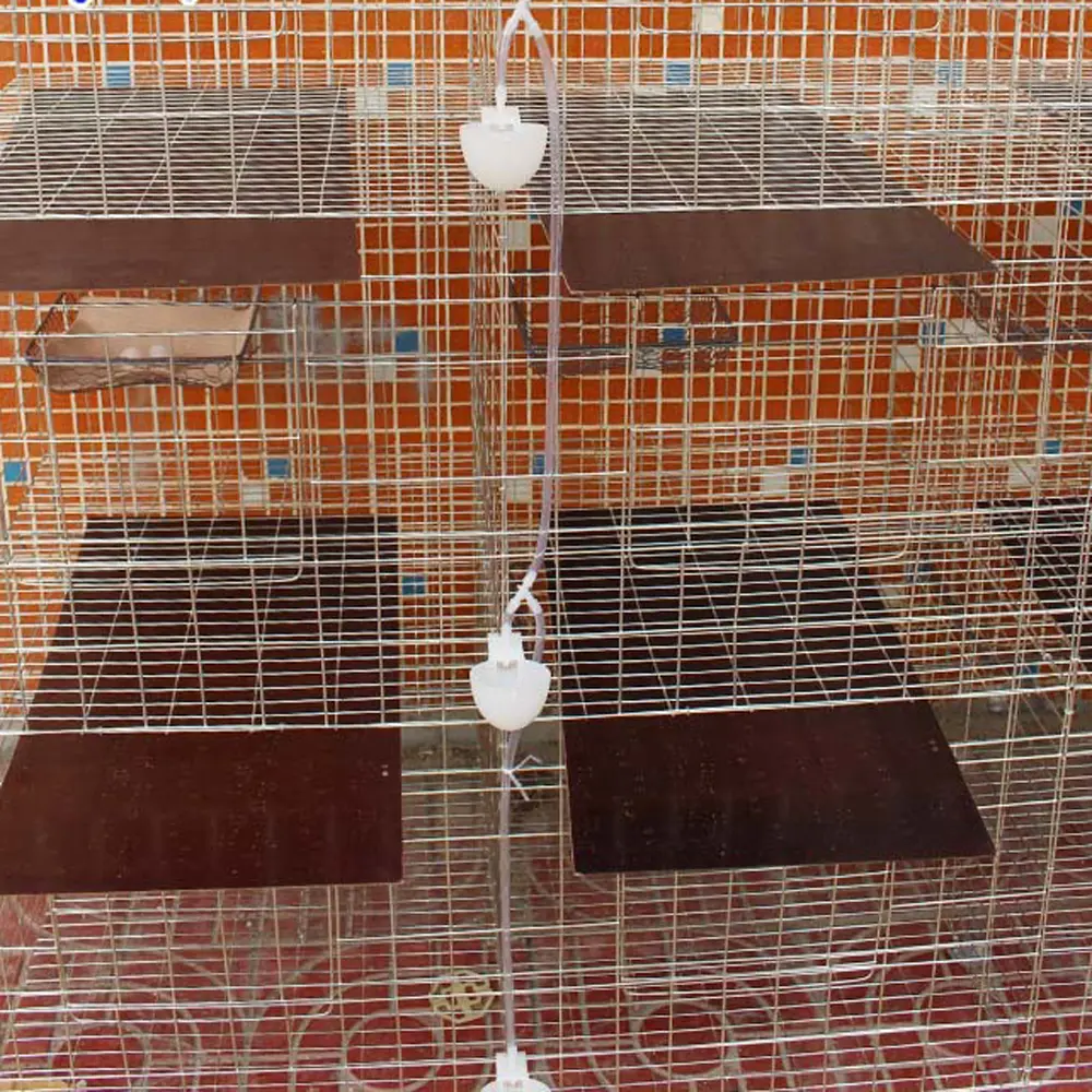 Drinker for pigeon bird feeders bird cups pigeon drinking bowl connect 4/7mm hose hanging cup pigeon cage accessories 5 Pcs