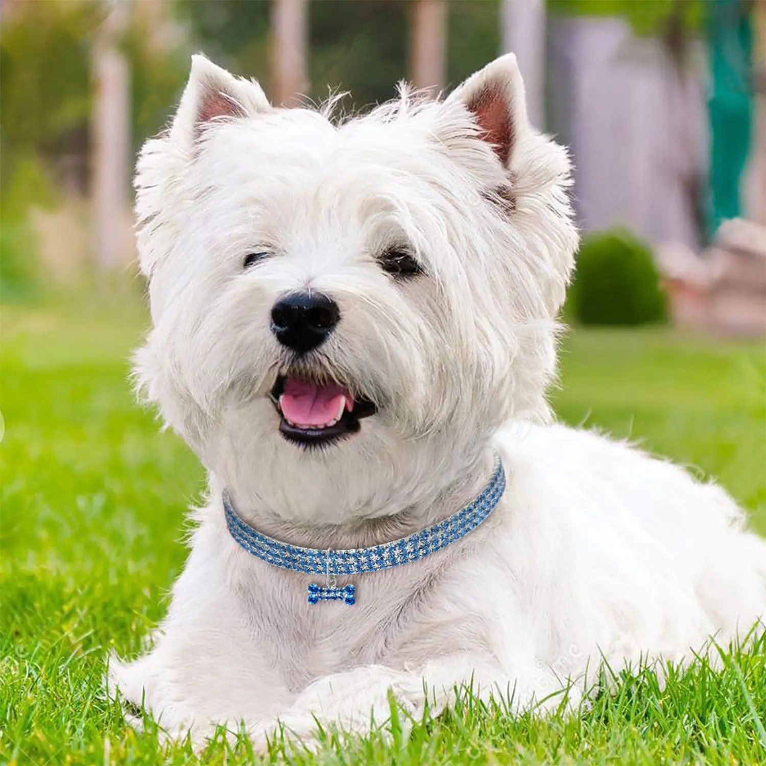 1Pc Luxury Dog Collar for Big Small Dog LuxuryGlitter Jeweled Bone Pendent Luxury Elastic Crystal Dog Collar Dog Accessories