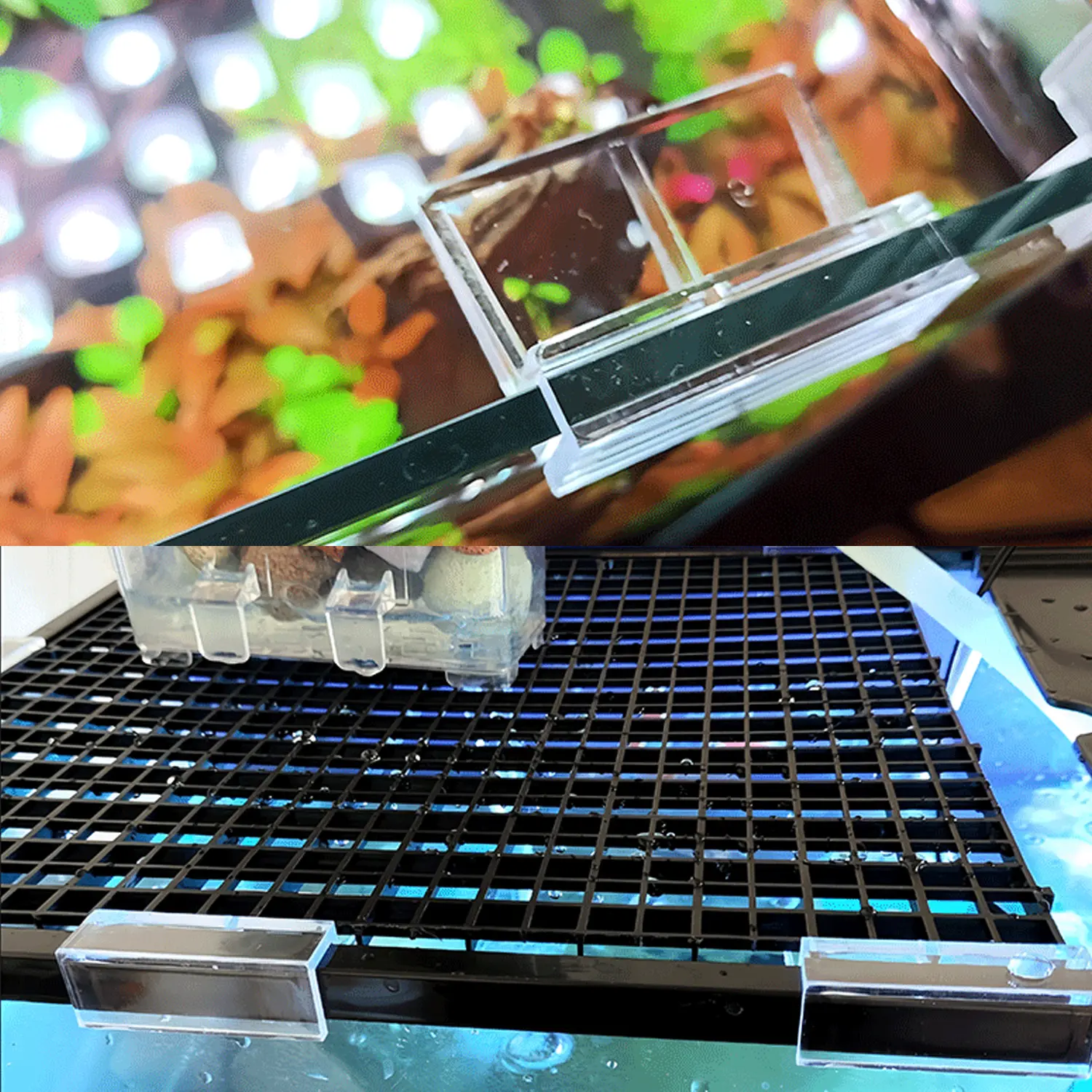 5/6/8/10/12mm Aquarium Acrylic Clips Glass Cover Support Holders Transparent Fish Tank Cover Plate Bracket Aquarium Accessories