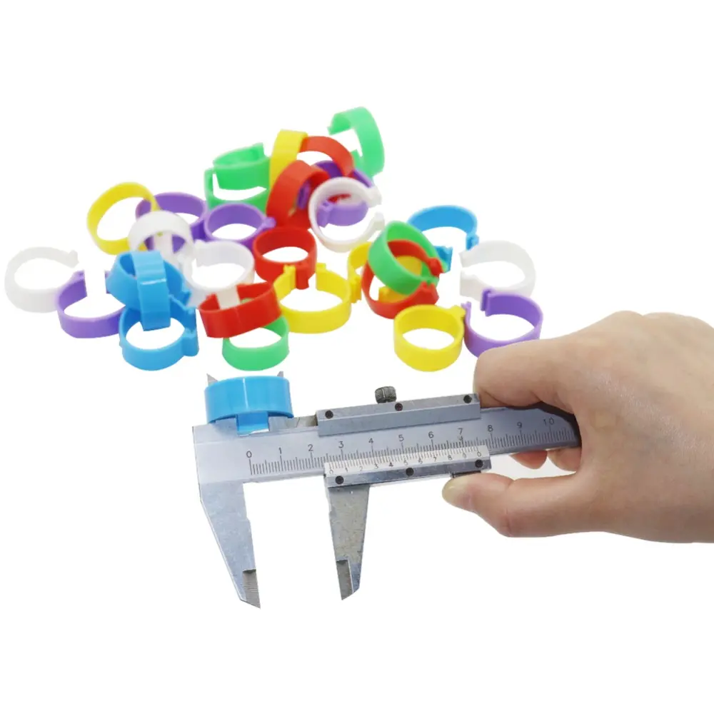 60 PCS Chicken Duck Turkey Goose 2.5cm Clip Ring Quail Foot Rings Poultry Carry Supplies 6 Different Colors