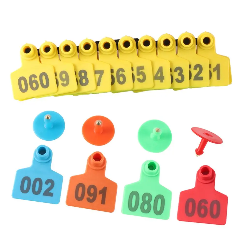 324