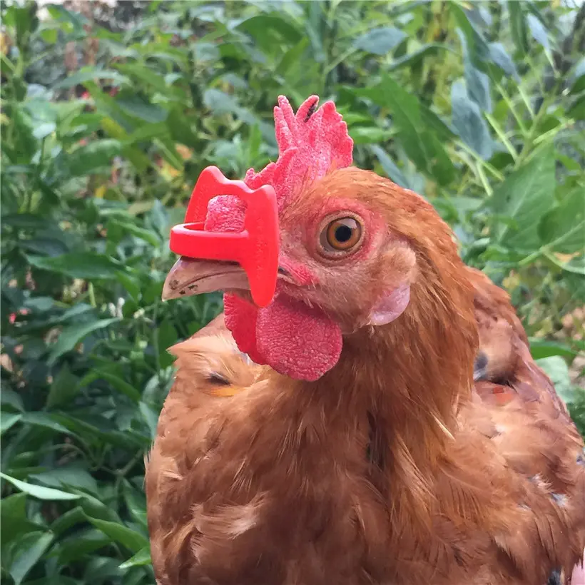 324
