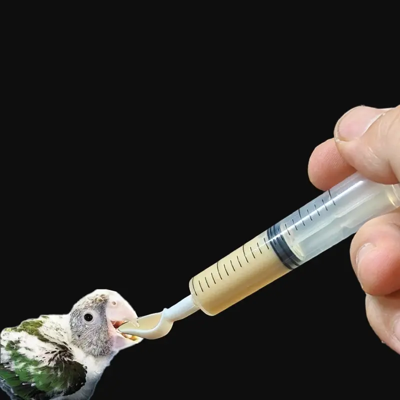 Bird Parrot Feeder Spoon Baby Bird Milk Medicine Feeding Tools Baby Bird Feeding Spoon Bird Tool Hand Feeding Spoon For Budgies