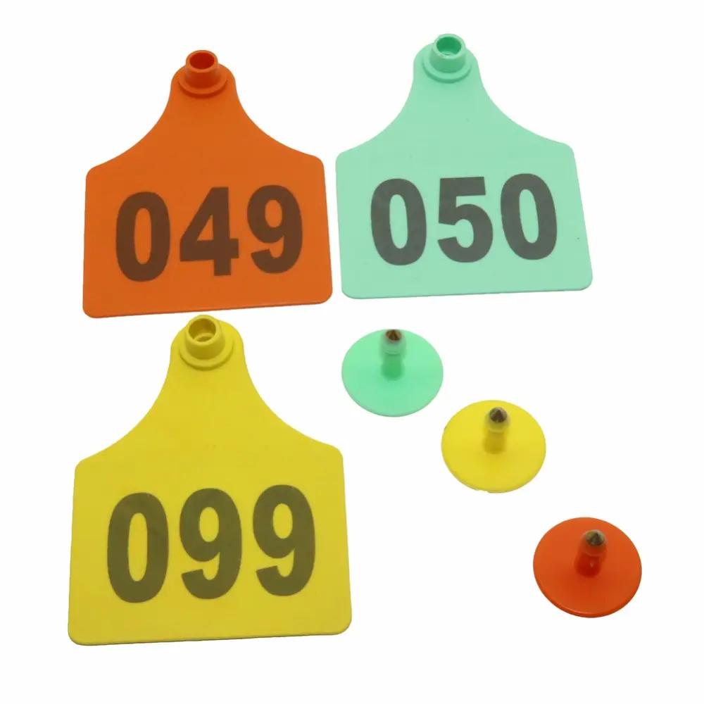324