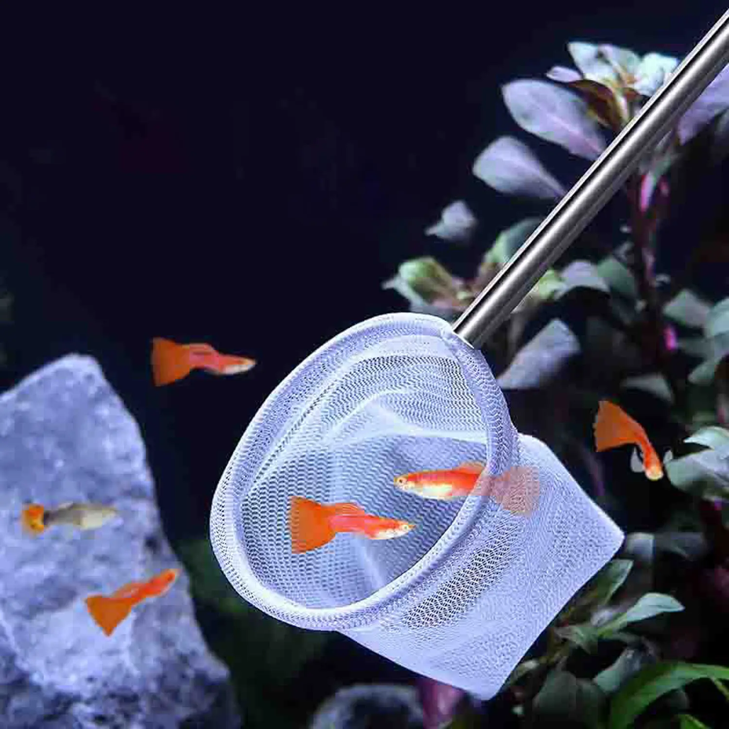 Aquarium Square Fishing Net With Suction Cup Extendable Long Handle Fishing Gear For Catching Fish Shrimp Tank Clean Supplies