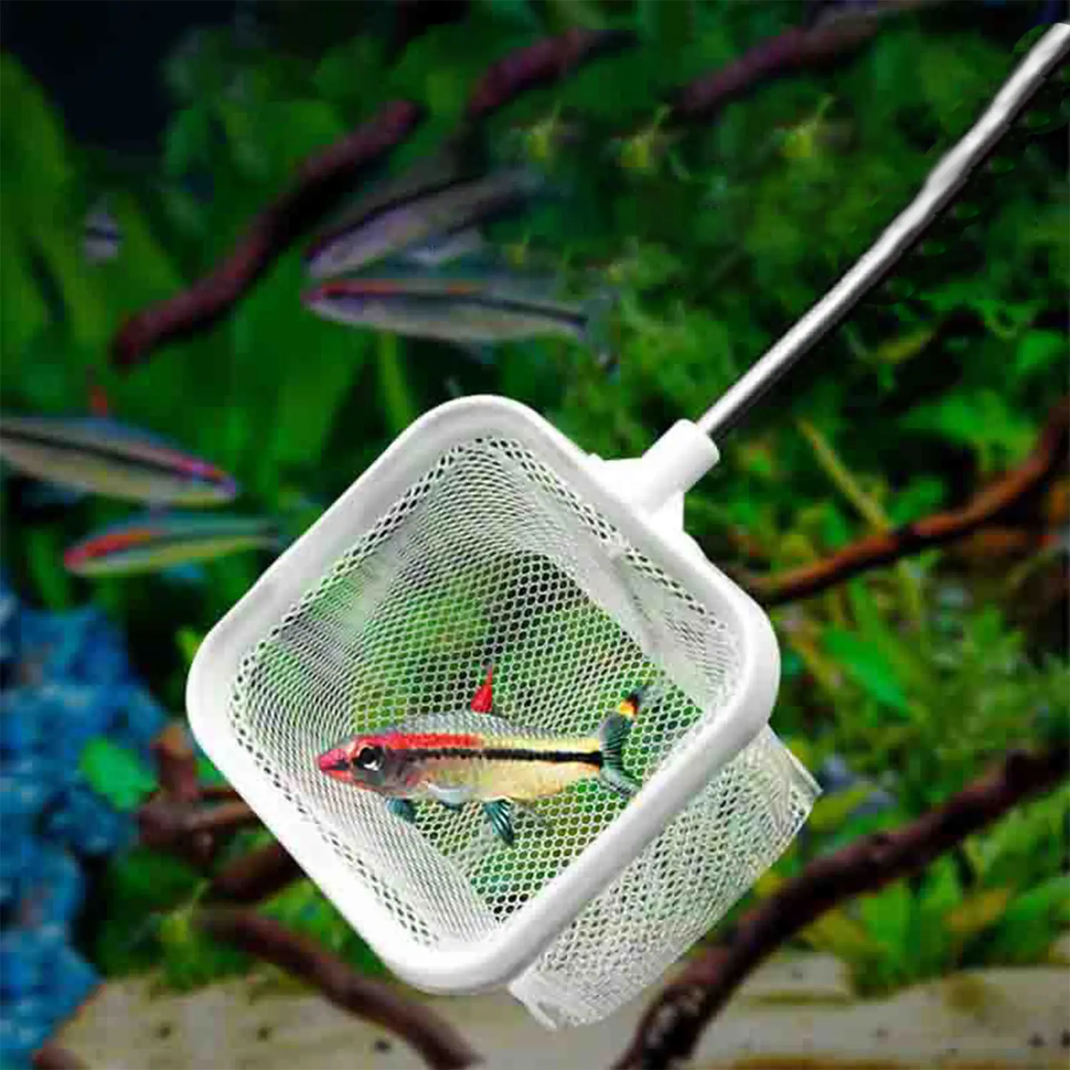 Aquarium Square Fishing Net With Suction Cup Extendable Long Handle Fishing Gear For Catching Fish Shrimp Tank Clean Supplies