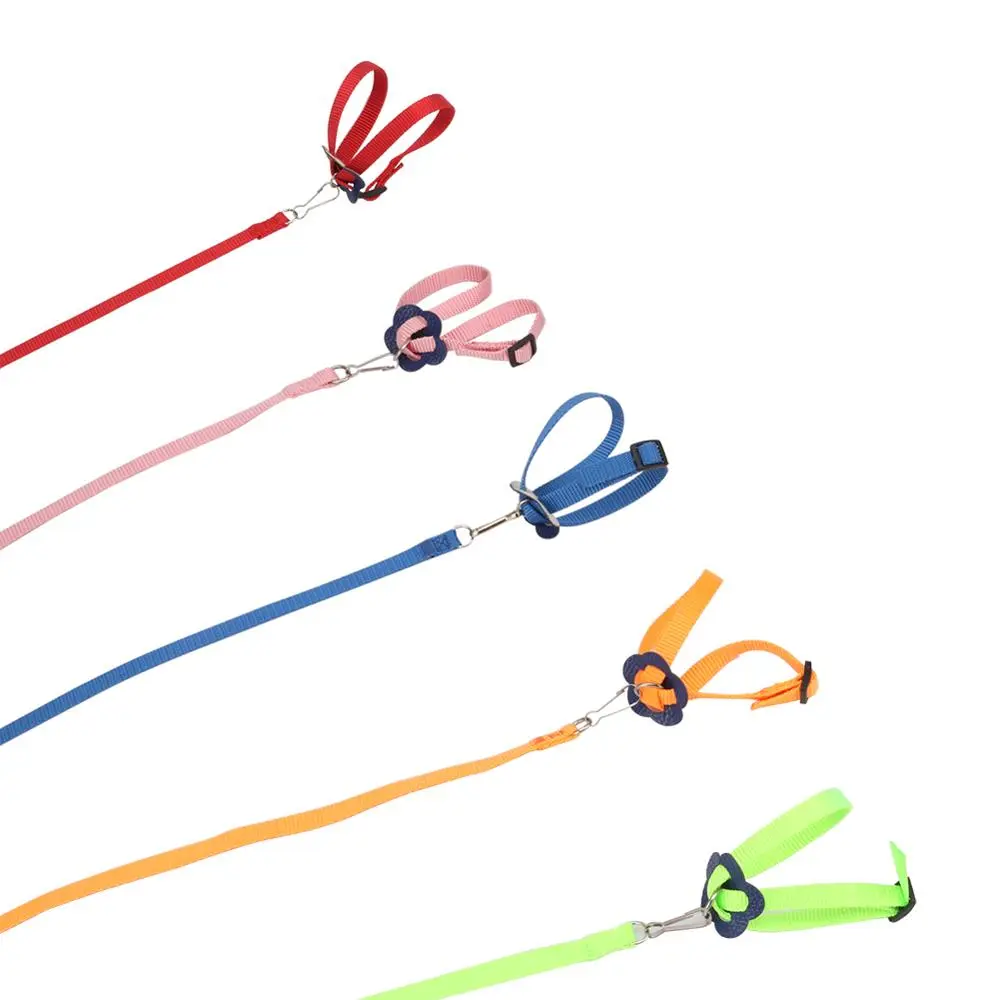 Adjustable Pet Harness Reptile Leash Turtle Gerbil Lizard Outdoor Training Soft Strap Anti-bite Multicolor Light Traction Rope