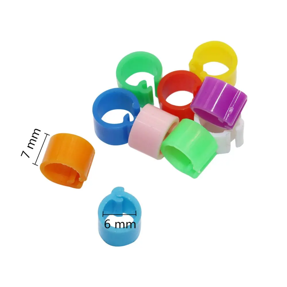 100 Pcs Bayonet Identification Ring Opening No number Bird Foot Ring Pigeons Rings Inner diameter 6mm Bird Training Supplies
