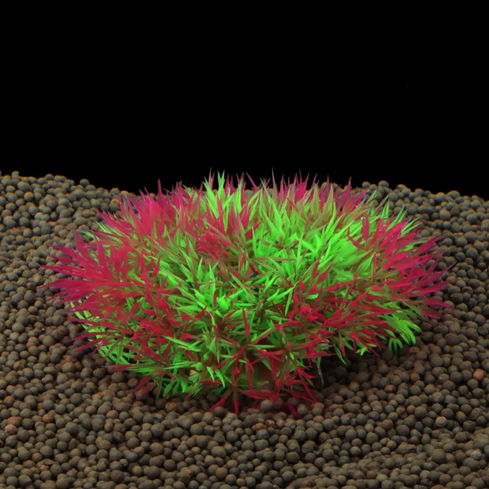 1 Pcs Plastic Aquarium Plants 3 Color Plantas Artificial Wonder Fish Plant Accessories Aquario Ornament Decor
