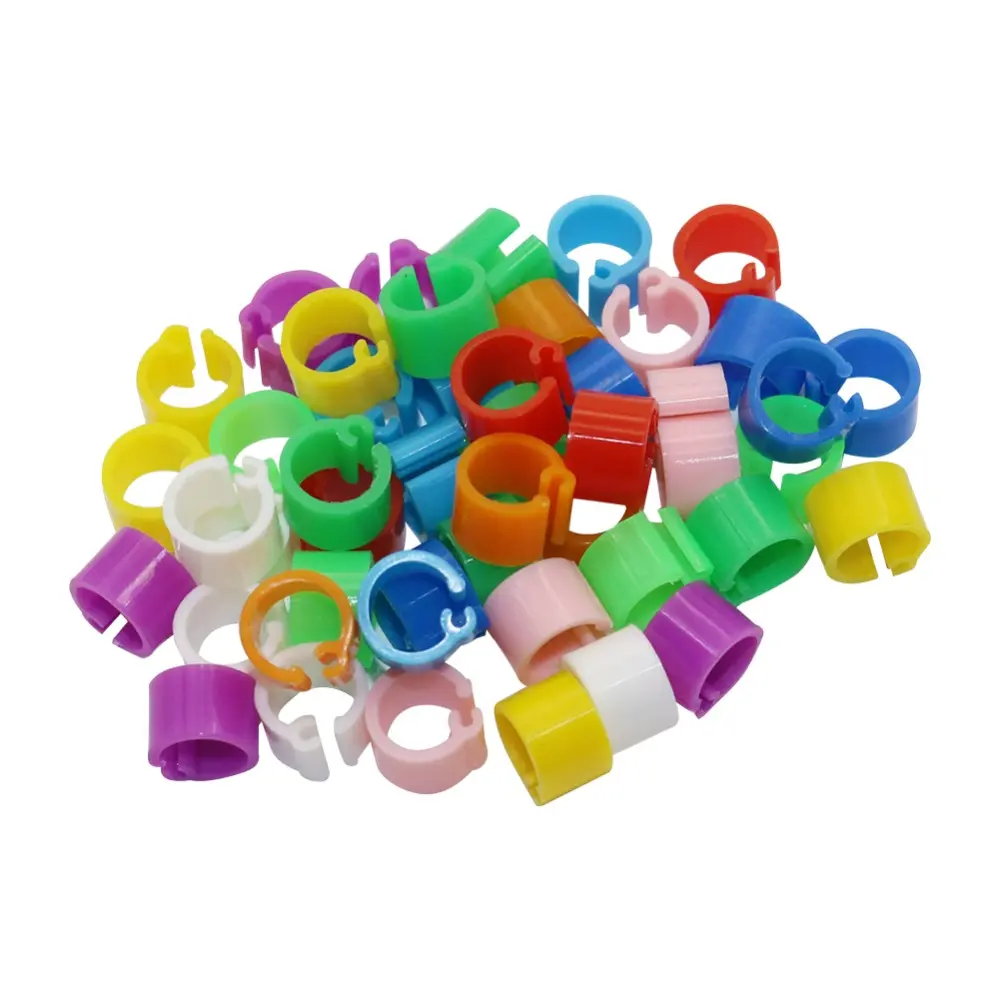 100 Pcs Bayonet Identification Ring Opening No number Bird Foot Ring Pigeons Rings Inner diameter 6mm Bird Training Supplies