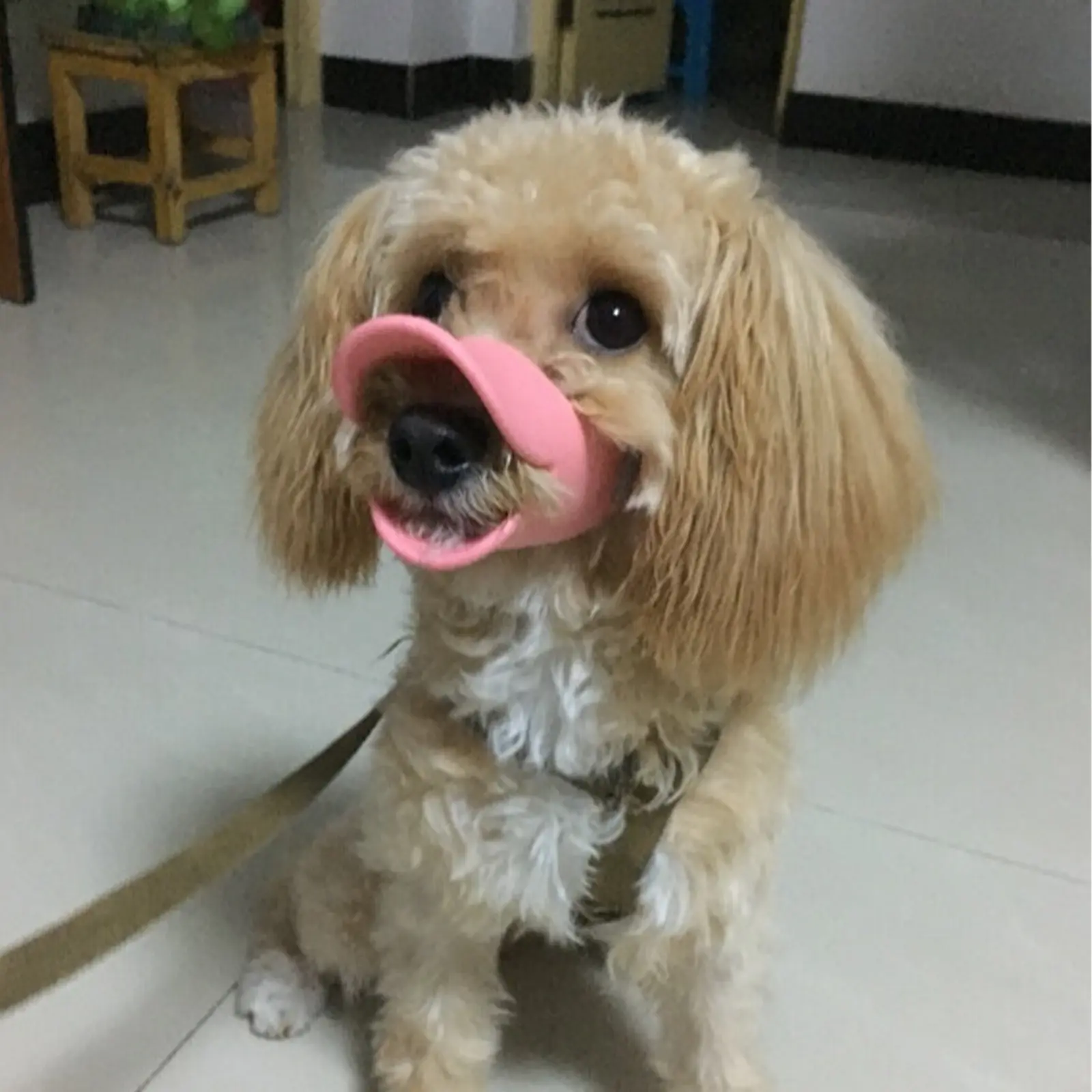 1Pc Dog Muzzle Silicone Duck Muzzle Mask for Pet Dogs Anti Bite Stop Barking Small Large Dog Mouth Muzzles Pet Dog Accessories
