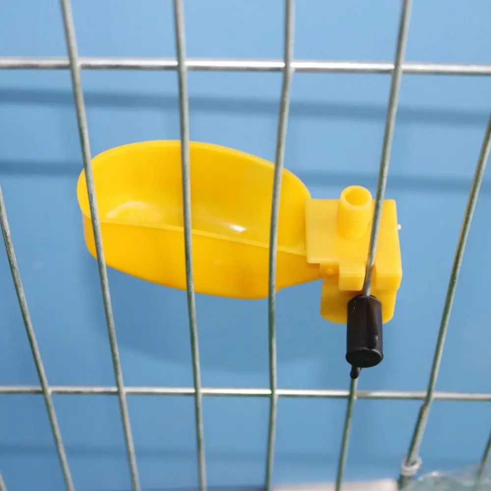 Chicken Drinking Cup Quail Automatic Drinking Cup Piegon Water Cup Small Pet Bee Parrot Bird Poultry Feeding Supplies 5 Pcs