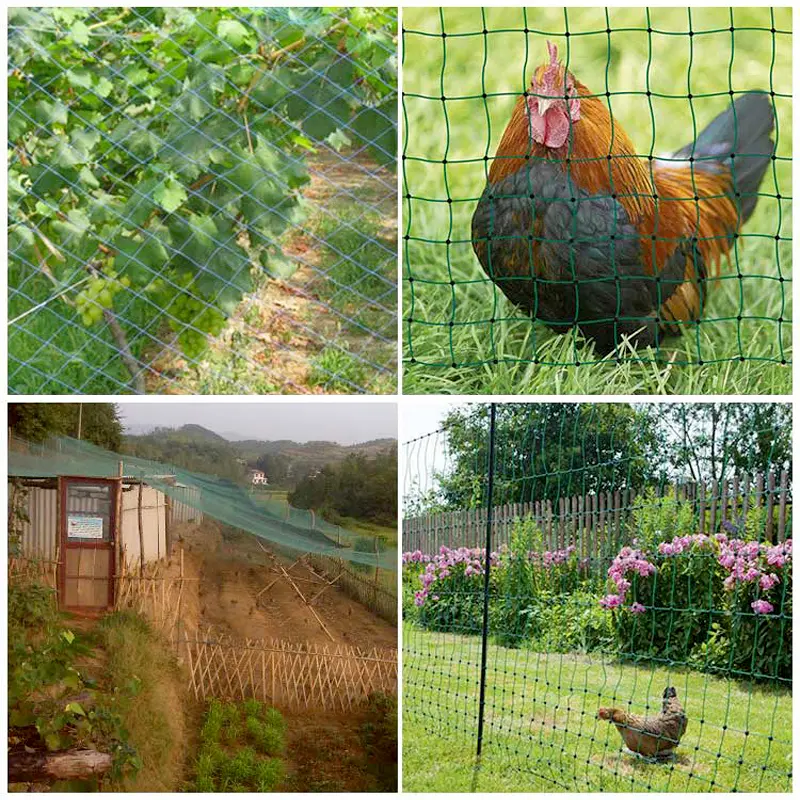 2.4x20/50M Chicken Net Chicken Fence Mesh Outdoor Bird-Proof Net Floral Netting for Gardening Poultry Fencing Fruit Climbing Net