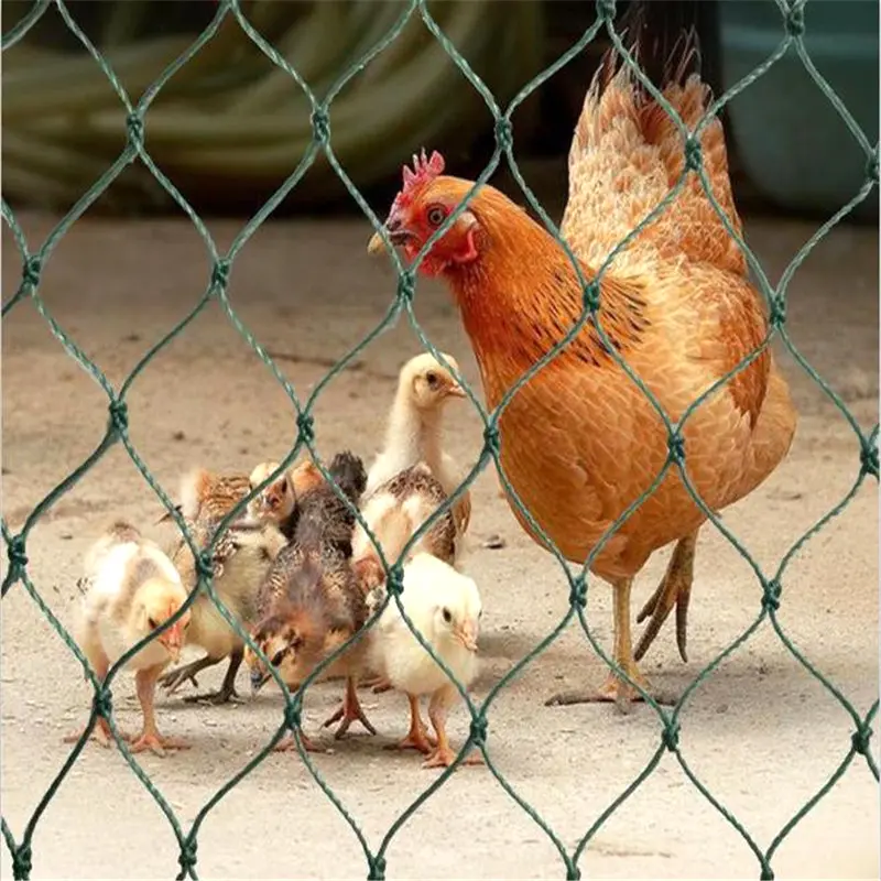 2.4x20/50M Chicken Net Chicken Fence Mesh Outdoor Bird-Proof Net Floral Netting for Gardening Poultry Fencing Fruit Climbing Net