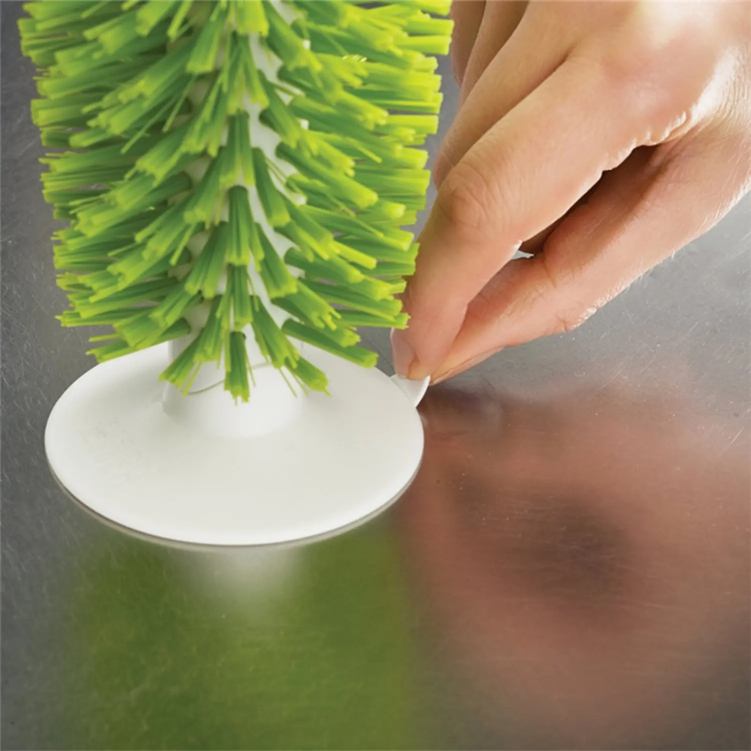 Amphibian Friendly Turtle Back Scrub Brush PVC Suction Cup Exfoliation Tool for Removing Shell Scutes and Promoting Shell Health