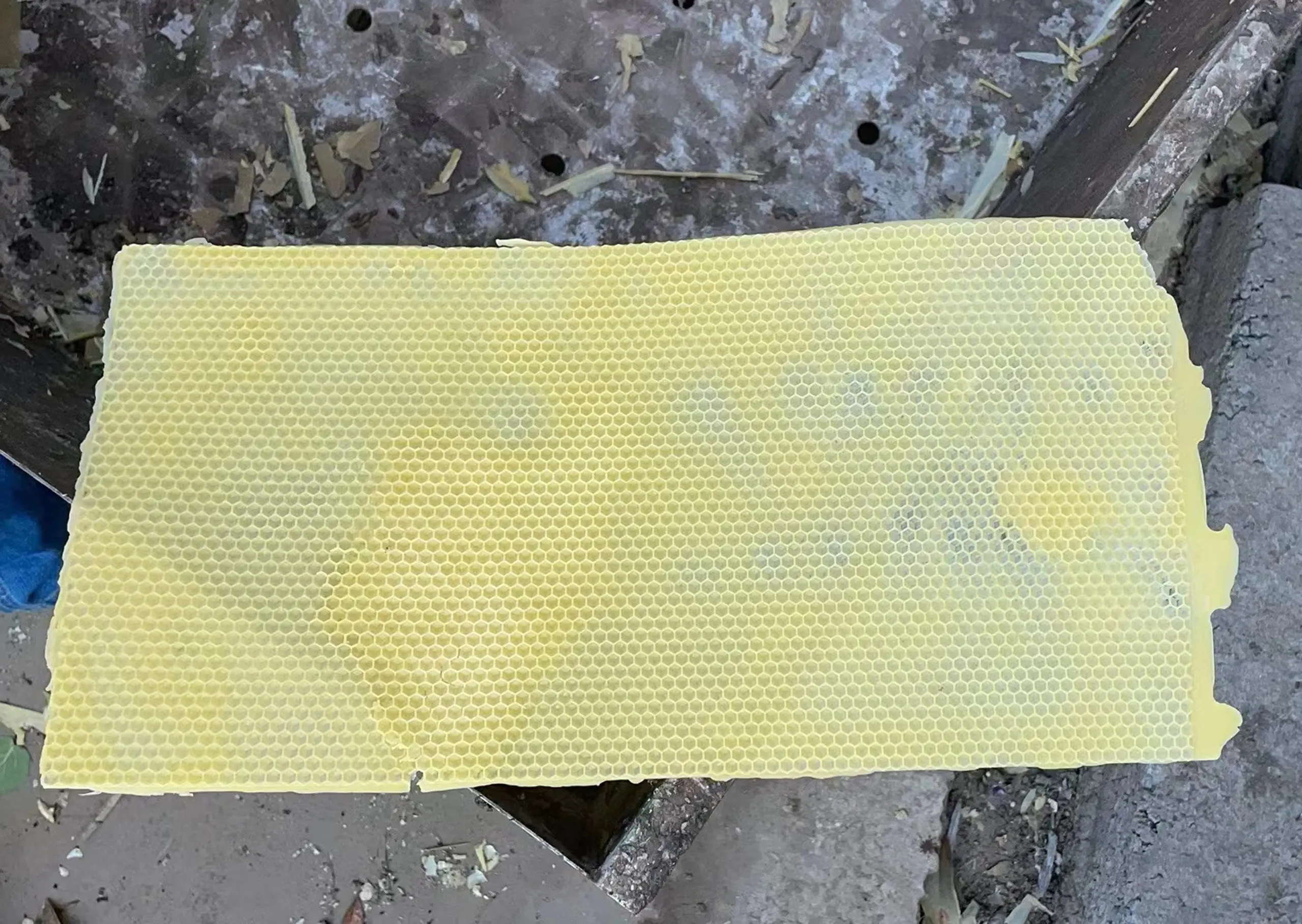 Beekeeper Soft PVC Beeswax Mold Foundation Bee Hive Basis Press Sheet Mould Beeswax Press Sheet Mould Beekeeping Tools 2 Pcs/set