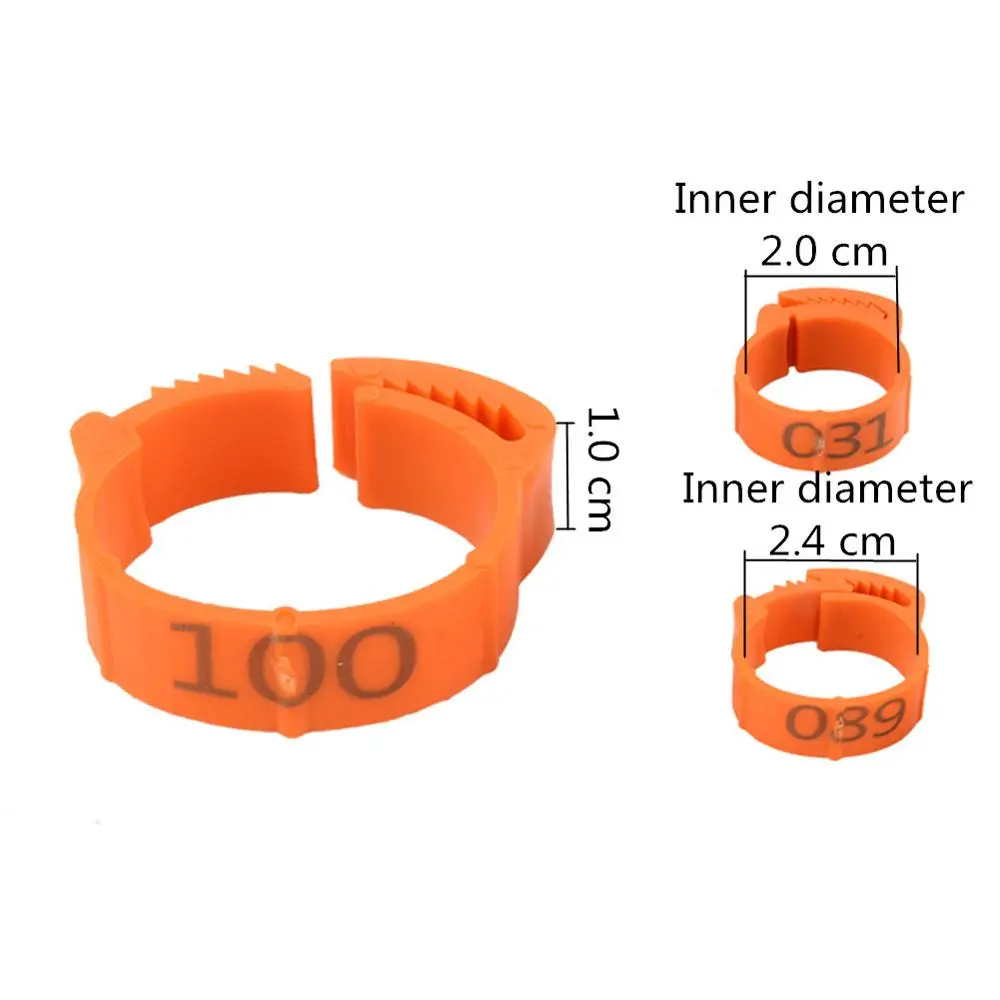 100Pcs/Color Adjustable Chicken Foot Rings Inner Diameter Size 2~2.4cm Chicken Poultry Flexible Retractable Foot Rings 8 Colors